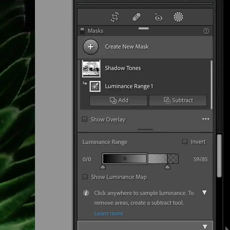 Adobe Camera RAW introduce masking features