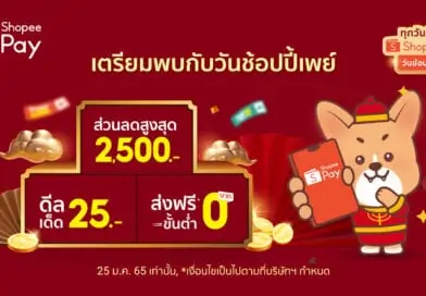 Shopeepay Day Lunar New Year campaign