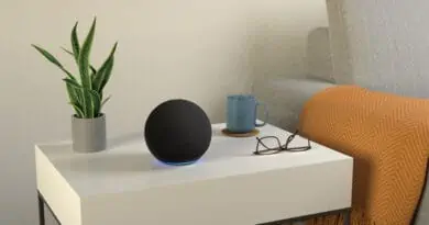 Amazon launch new Echo International and Echo Dot International